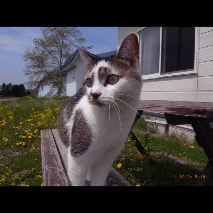 C0c34030 68ee 4baf a0d4 3bad28233a79 1776821460521