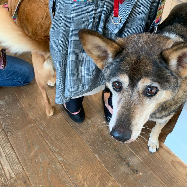 C0c38cef cbeb 4a3f 825f d048373812cd 1572153414714