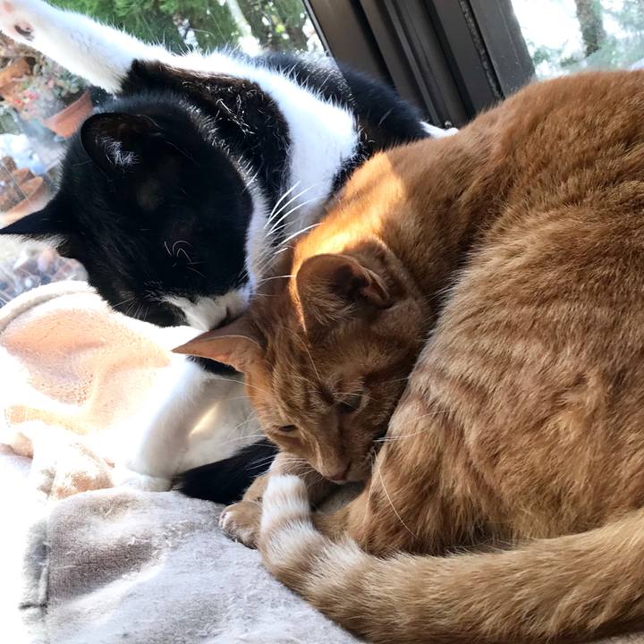 C0c41815 3c31 4e95 9e78 e82c694e4d9e 1516860742372