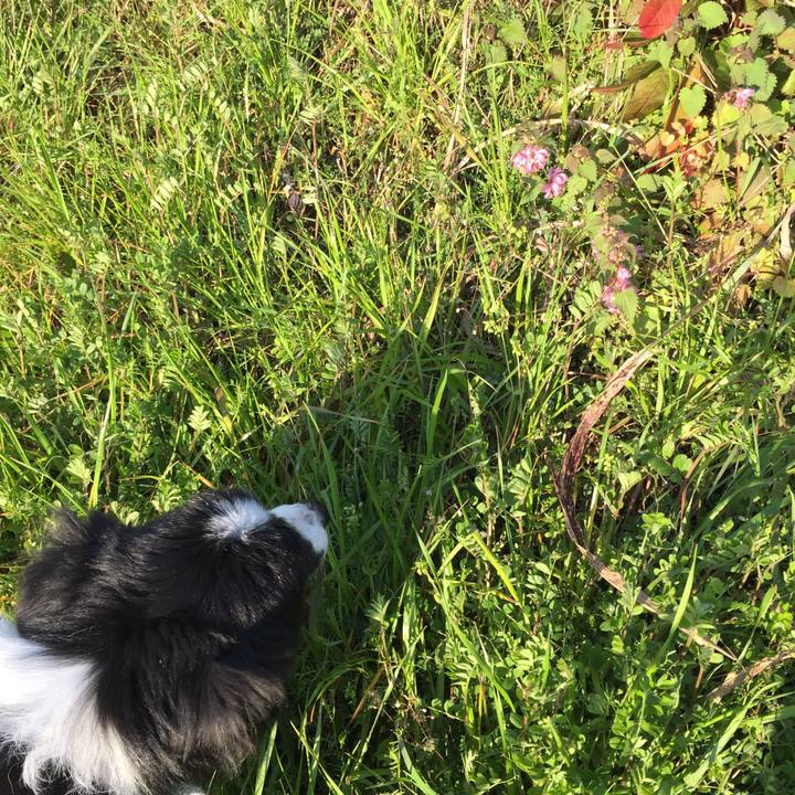 C0c42bf7 90e6 49d0 9b1b bf93a9cb7f1a 1552518409588