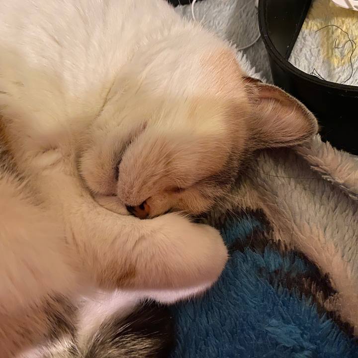 C0c49756 8a79 42c6 988d 6503b123fbc6 1580472821391