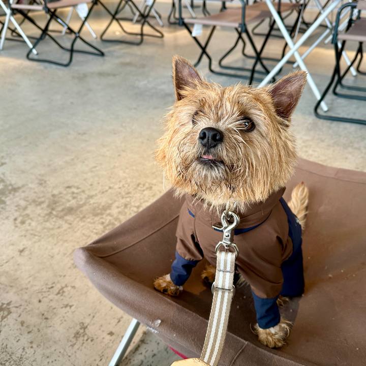 C0c4f61f 8447 4279 b66d 5f0f224a05dc 1769694480858