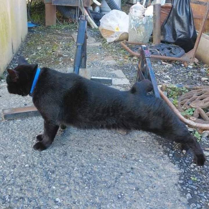 C0c50295 01f1 4777 94b9 e2912d21e8f9 1638528829311