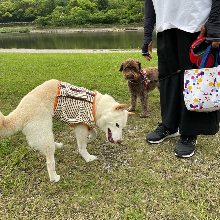 C0c50fe2 c03d 475b 89d1 857ec1c95d41 1655718940223