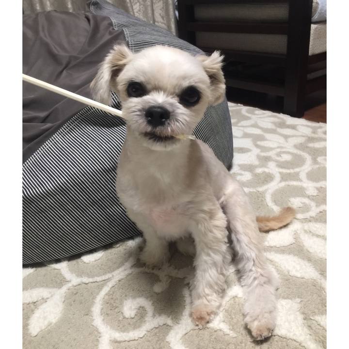 C0c51bfb 394e 4be5 b83b 7e8bb225cc80 1544610128078