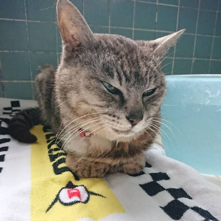 C0c52362 5c67 4bc2 9442 ade57f492c8e 1625198194899