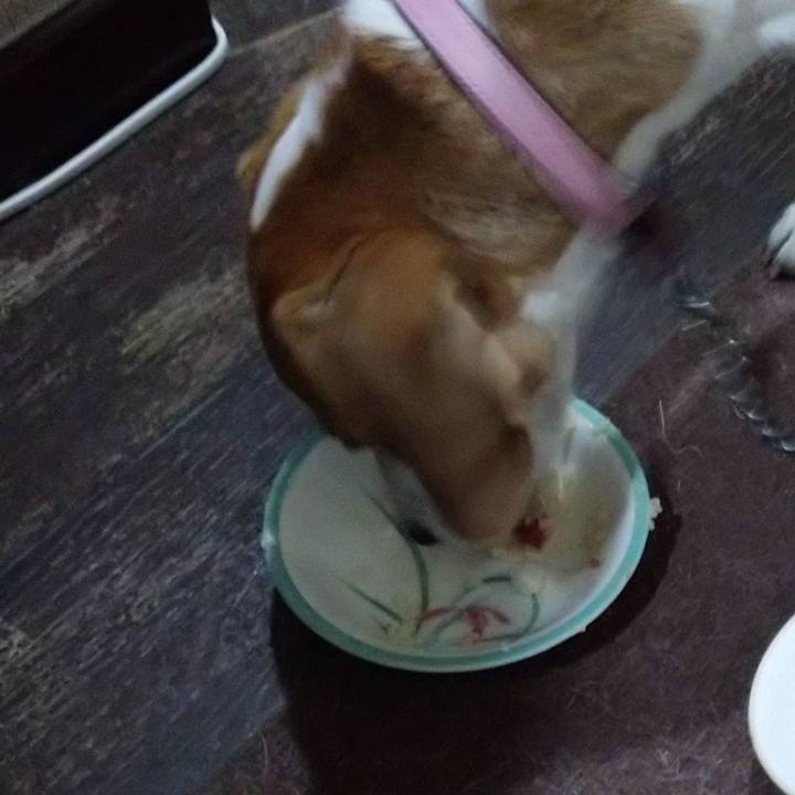 C0c53019 ff37 4b15 b6a8 de8cb440636d 1583492478937