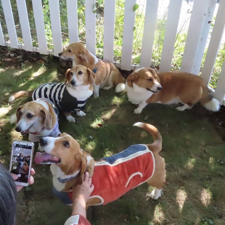 C0c54858 a796 4ce7 856a f257414e407d 1697854190479