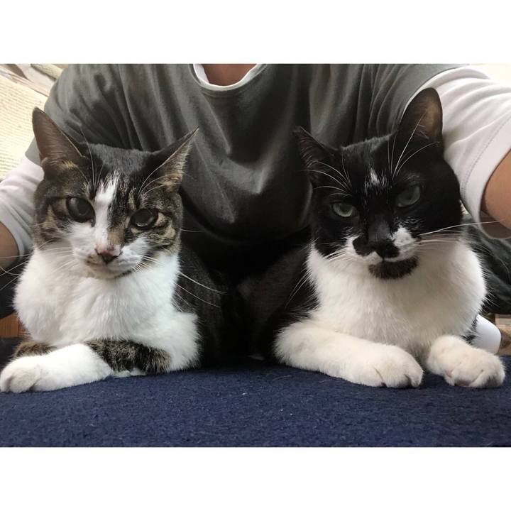 C0c55610 77ed 4050 b702 4329ee5934bd 1635781587887