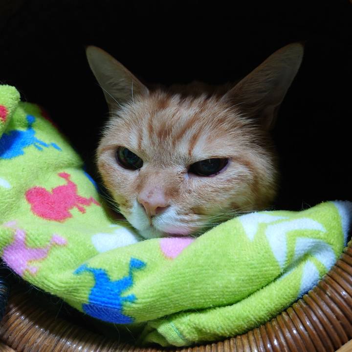 C0c55ee8 721b 487e 9605 14af992d02a5 1767624205759