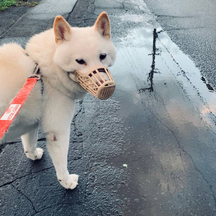 C0c5690a 9a72 48a5 85d2 659a90c41bd9 1601932990426