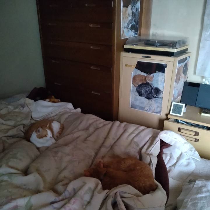 C0c57102 0ed9 4591 92f3 289a3fc22582 1743115229786