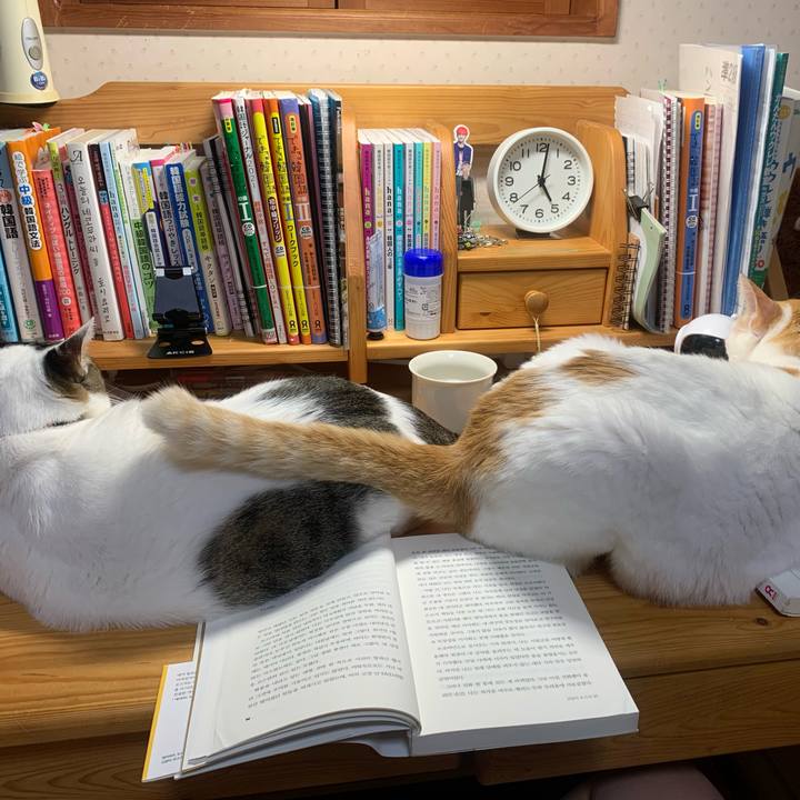 C0c5796d 22ce 47fe aa94 a2dfbfde0b56 1637533207092