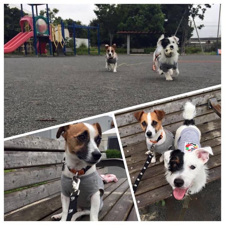 C0c57a96 f2dc 45b5 b951 1e1deb6eca2e 1661001228186