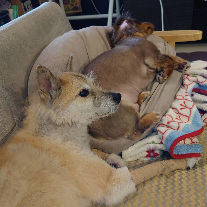 C0c59218 b0ac 40c9 81f2 87f0fdfa95b3 1658802832723