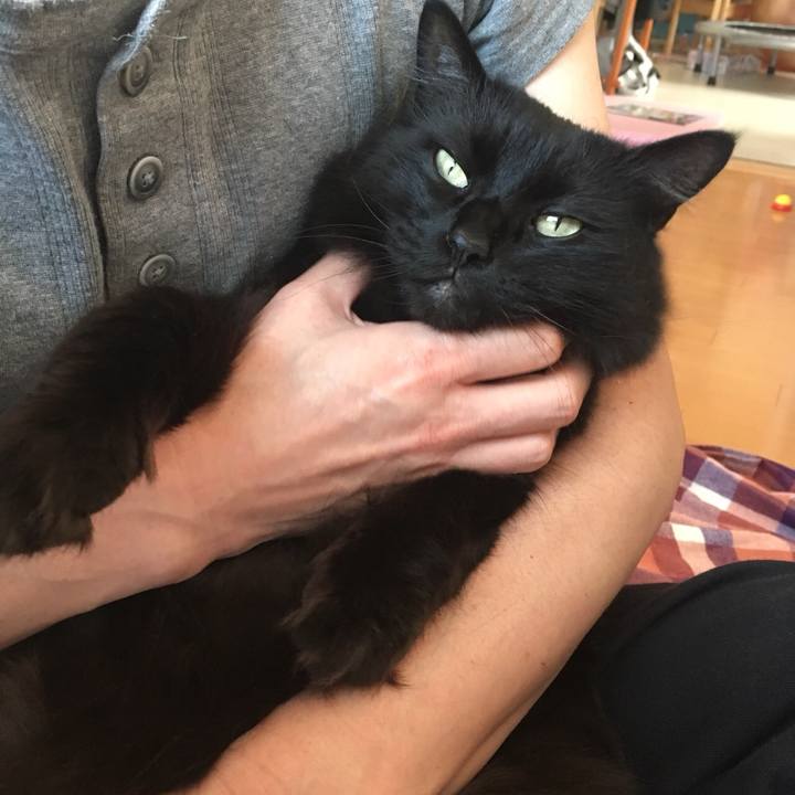 C0c5c630 90cd 48f8 975c db52aa9bf058 1525228223252