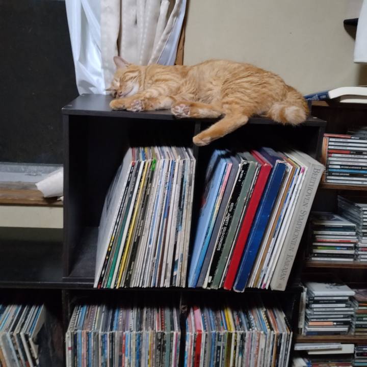 C0c5da50 61a9 4ca4 94d7 158be0c59621 1693053998579