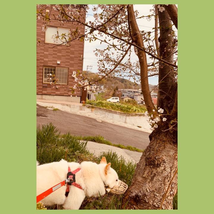 C0c62354 c941 4818 bc25 1425177c7ac5 1588717187478