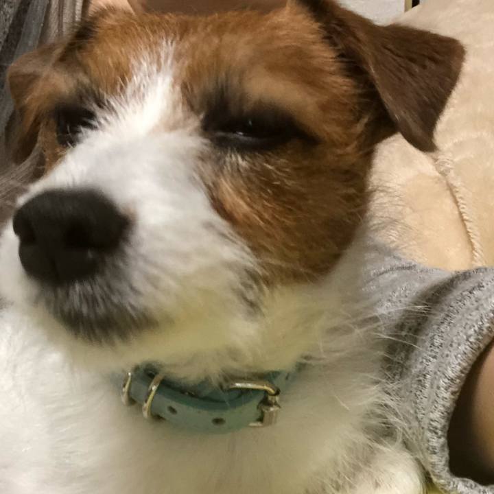 C0c6530b 45a9 4c01 a73b 34df1b2a6e0f 1551585874699