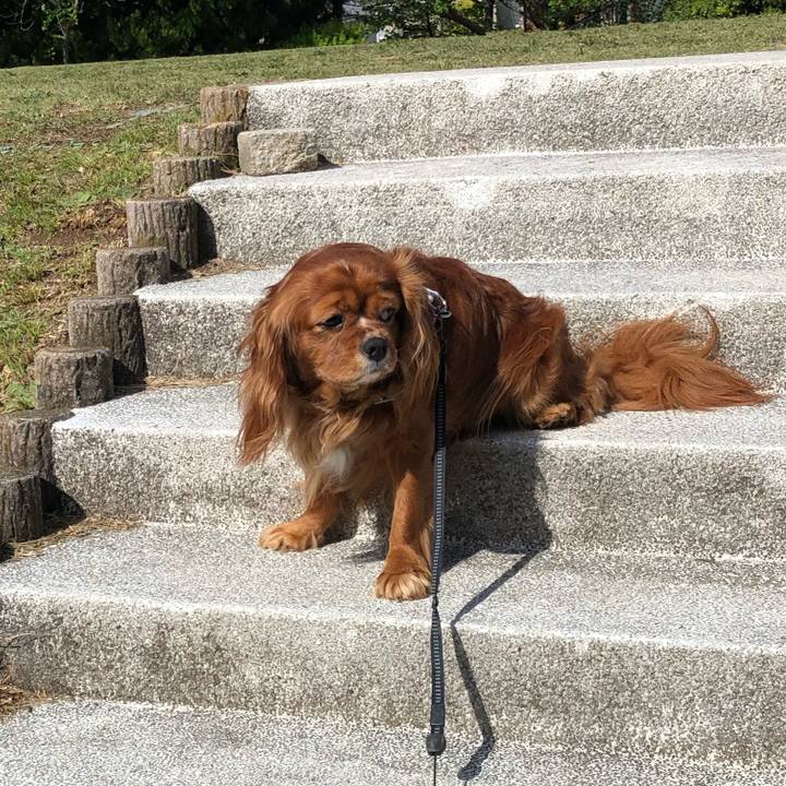 C0c68de6 a271 485b 8ae1 8f5a43b4b42a 1618957668415