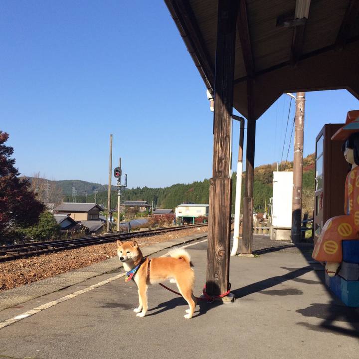 C0c6b675 ad96 4d75 a453 e95e0eecb94f 1510217237596