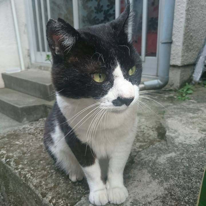 C0c6c683 4a91 4360 a99f f96163b848f7 1525596638839