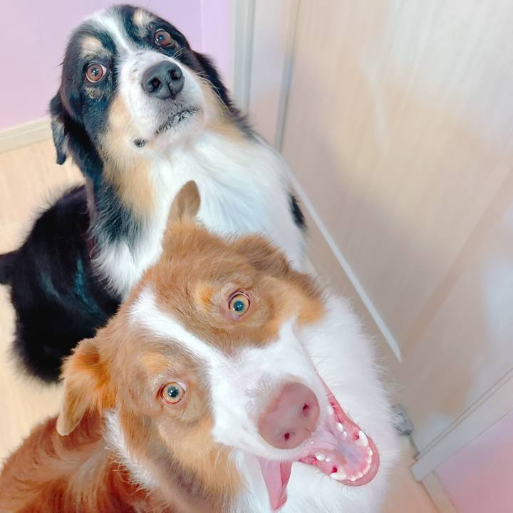 C0c720f5 3e49 443c a3fd b9c5621e3de0 1759230863508