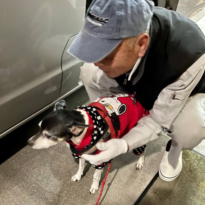 C0c72826 caf3 4ad2 898d 08590af59394 1640295681948