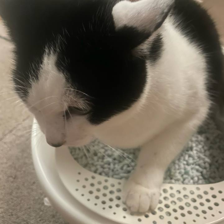 C0c72b97 0ae9 4793 885a 397cbbae2967 1731057411909