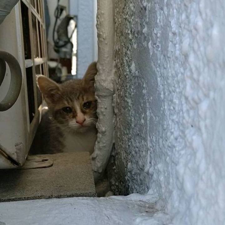 C0c72fdb f043 4a8d 835c 9a47a1c74466 1591959063811