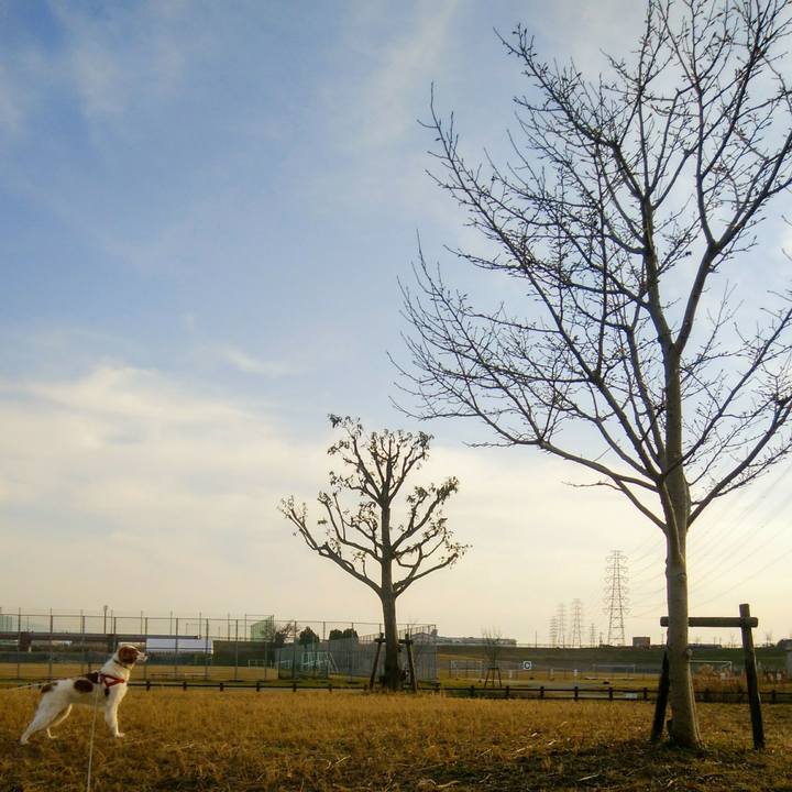 C0c76c6e 42ad 424a bccd 1943949ae1d4 1551094362695