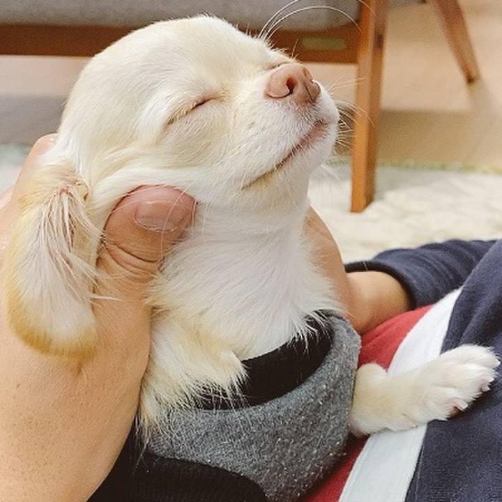 C0c775e8 cd14 4028 84bd aab5e1f4d043 1604874176355