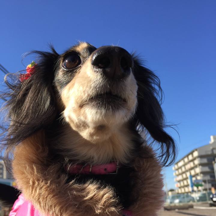 C0c7f522 105c 4b45 86fc 46c670f896b5 1546576197606