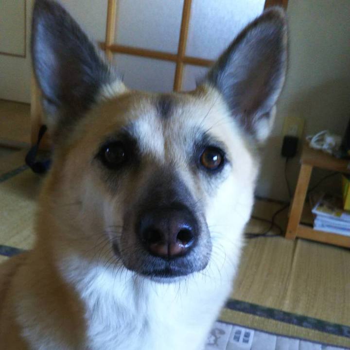 C0c81a71 6771 40b5 92cc 334cc163a52b 1537331729482