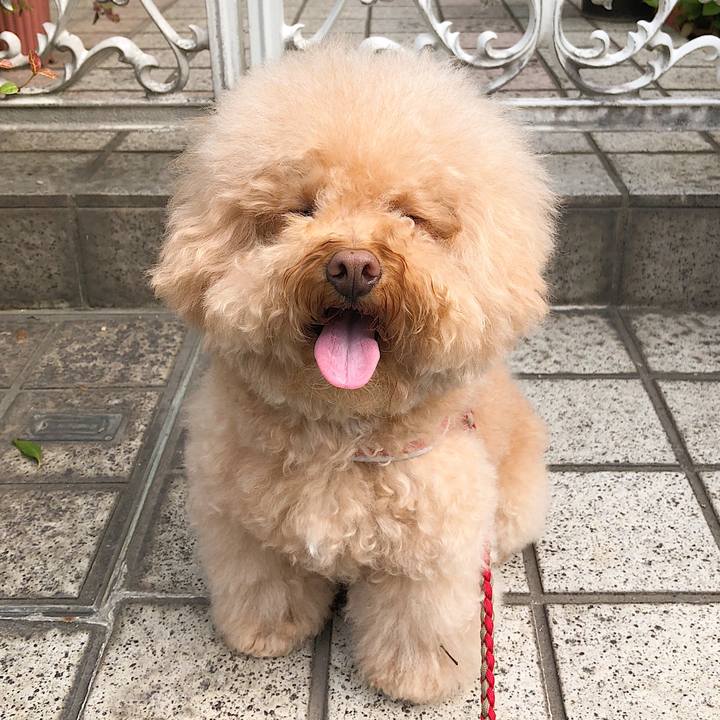 C0c821e3 820f 4b6c 8bb2 cd23871b1bce 1526607445507