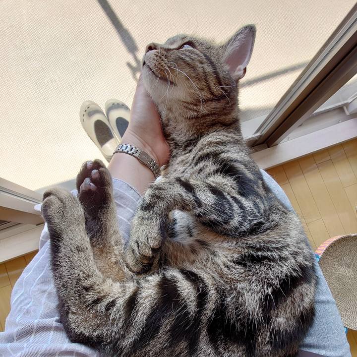 C0c833d3 6bcc 4d0b 9ff9 d269d60d5cc4 1617769294658