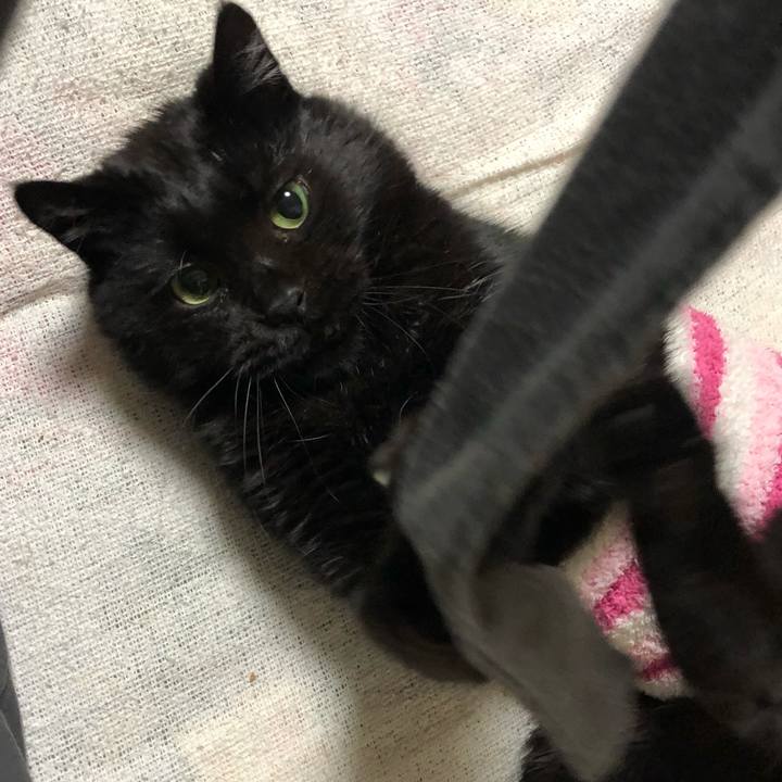 C0c87675 b2a8 4a6f a868 1318cae99315 1610544807613