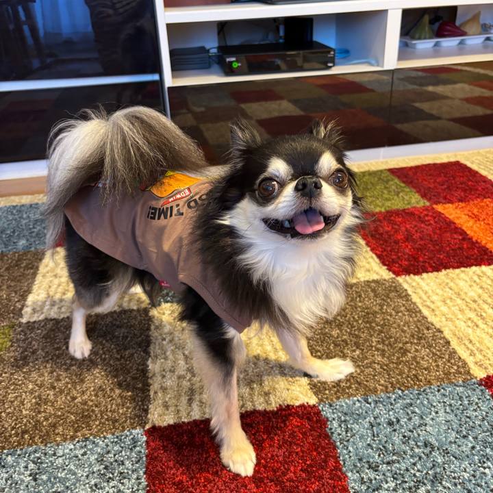 C0c87e7d 8870 45ad 80b9 9ca440efdc54 1745770514311