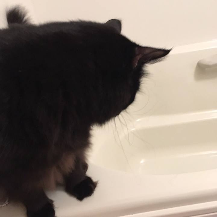 C0c8918b 0a15 4b95 8076 bdfb18ee1893 1508498828051