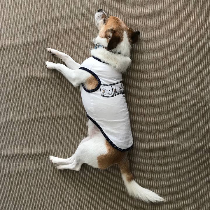 C0c8c33b f7e2 4797 a47f e4a653378341 1567825537695