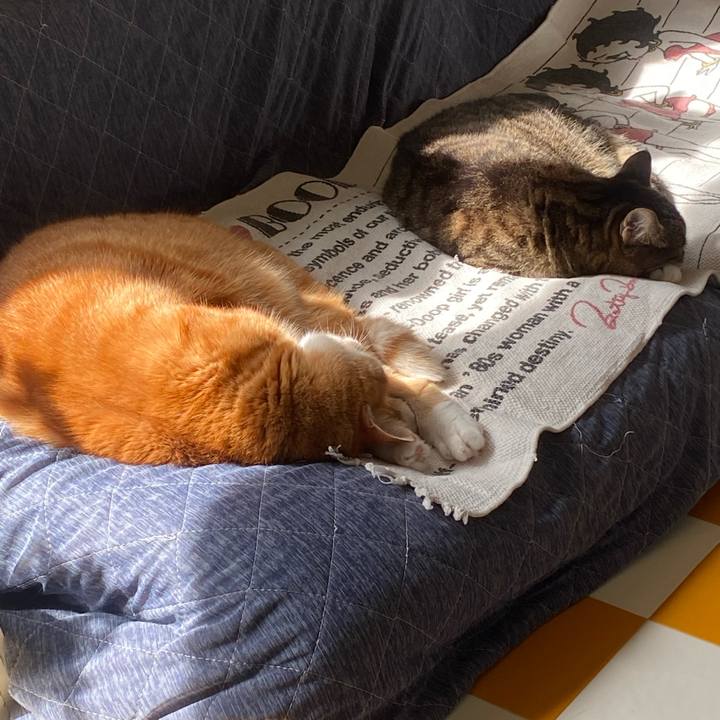 C0c8e1fb 56be 45b8 a602 92f95a2c95d5 1695516282287