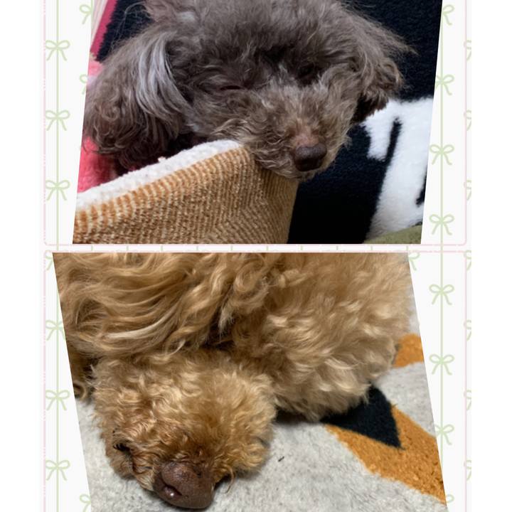 C0c91b29 d792 4406 a070 51adc1ed6dd7 1610971363154