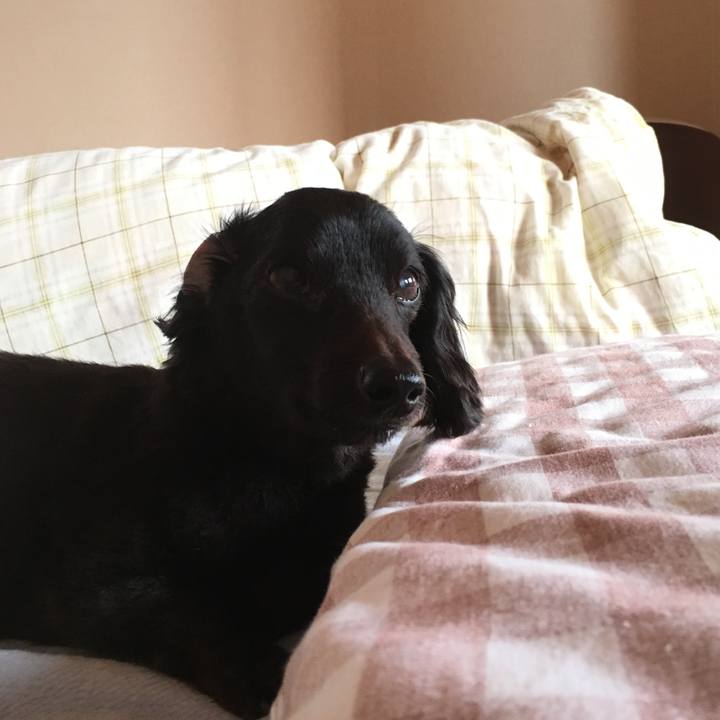 C0c9291c 3806 4425 acb5 38d667aa51ae 1550789543134