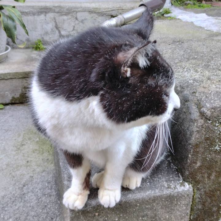 C0c92ecf 5808 4739 a862 08d75eb6d996 1706140330871