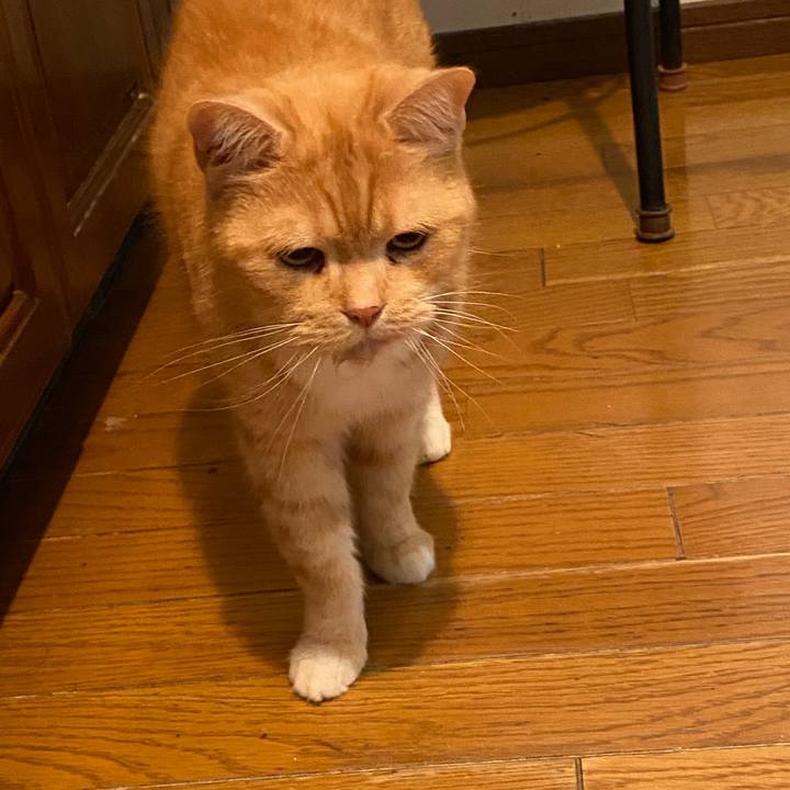 C0c93742 144b 4282 81f2 ba1b8eb50e2f 1590143430591