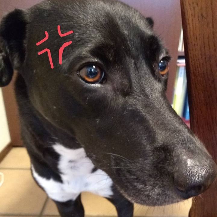 C0c94ca4 ed50 41d6 8366 0e728533d4fa 1596952911993