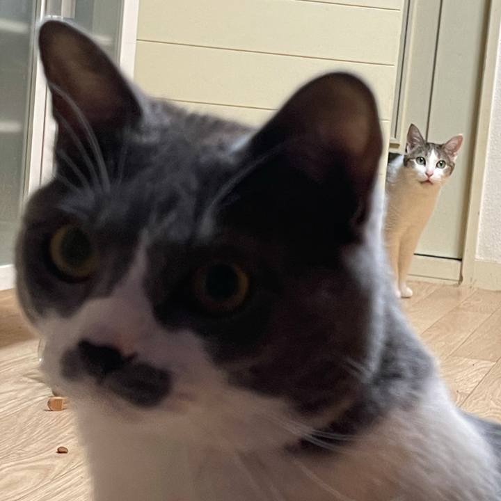 C0c9892d 9ace 40f9 a3c5 be1339405dd7 1625306713923