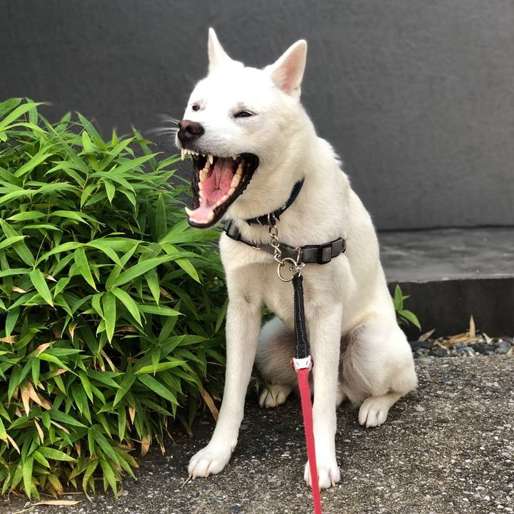 C0c9ecfd baaf 4b75 865a be054384fcbe 1559534387311