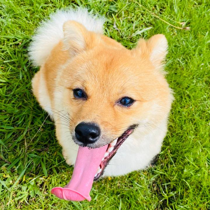 C0ca1c2d 2776 4a20 991f 1276afe8becd 1596425571126