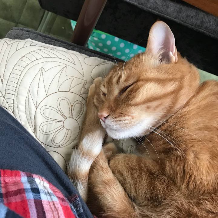 C0ca49c4 d113 43ec ae20 64b4ba4c2a12 1524885774852